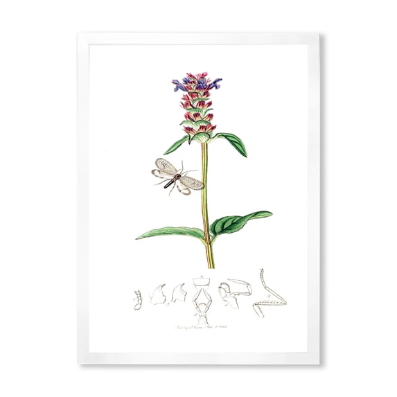 Designart 'Ancient Insects and Plants II' Farmhouse Framed Art Print
