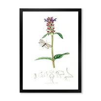 Designart 'Ancient Insects and Plants II' Farmhouse Framed Art Print