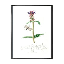 Designart 'Ancient Insects and Plants II' Farmhouse Framed Canvas Wall Art Print