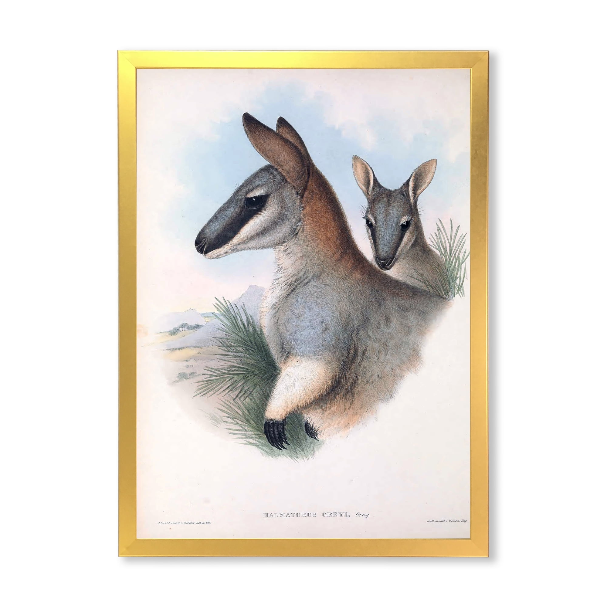Designart 'Ancient Kangaroo' Farmhouse Framed Art Print