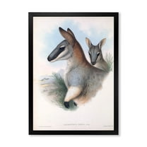 Designart 'Ancient Kangaroo' Farmhouse Framed Art Print