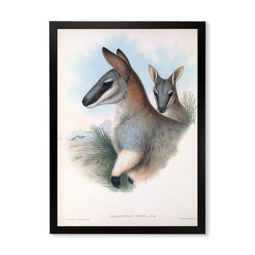 Designart 'Ancient Kangaroo' Farmhouse Framed Art Print