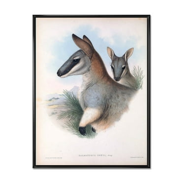 Designart 'Ancient Kangaroo' Farmhouse Framed Canvas Wall Art Print