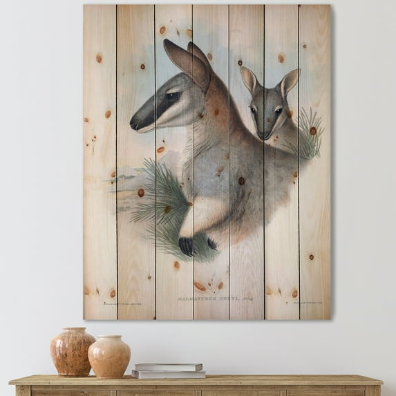 Designart 'Ancient Kangaroo' Farmhouse Print on Natural Pine Wood