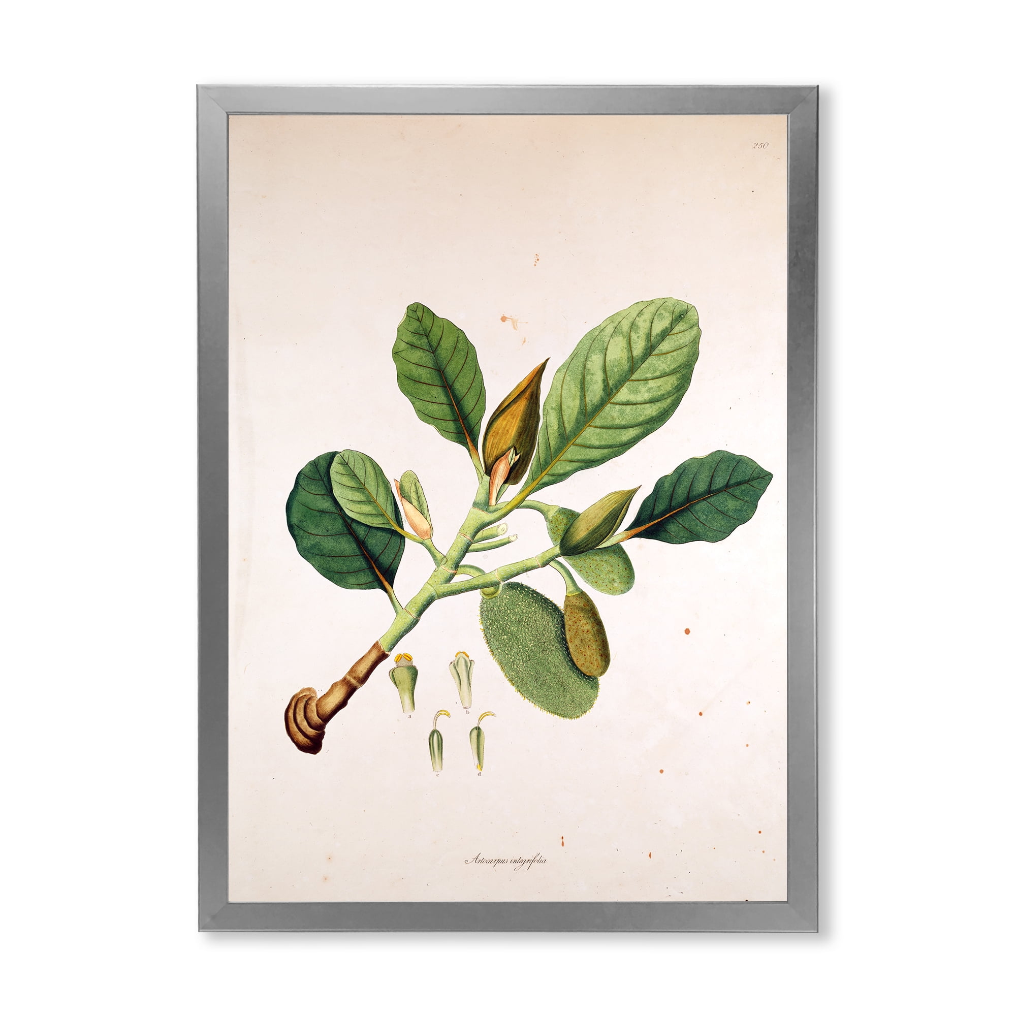 Designart 'Ancient London Plants I' Farmhouse Framed Art Print