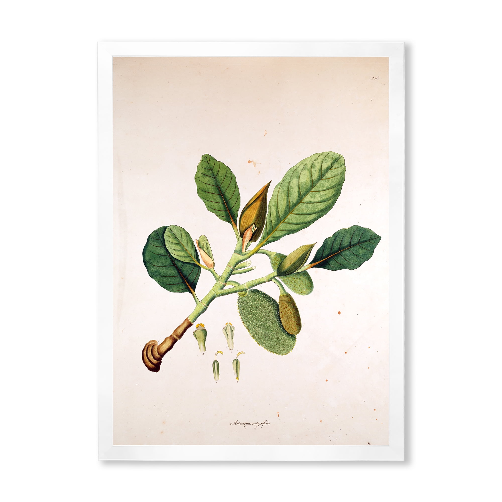 Designart 'Ancient London Plants I' Farmhouse Framed Art Print