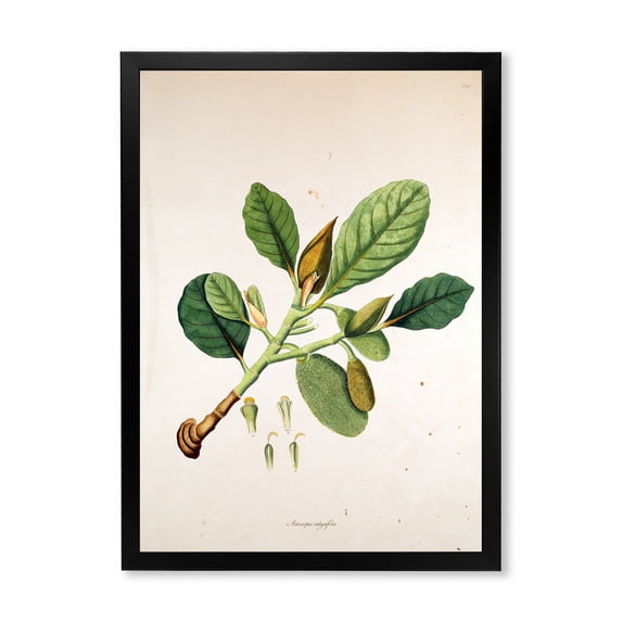 Designart 'Ancient London Plants I' Farmhouse Framed Art Print