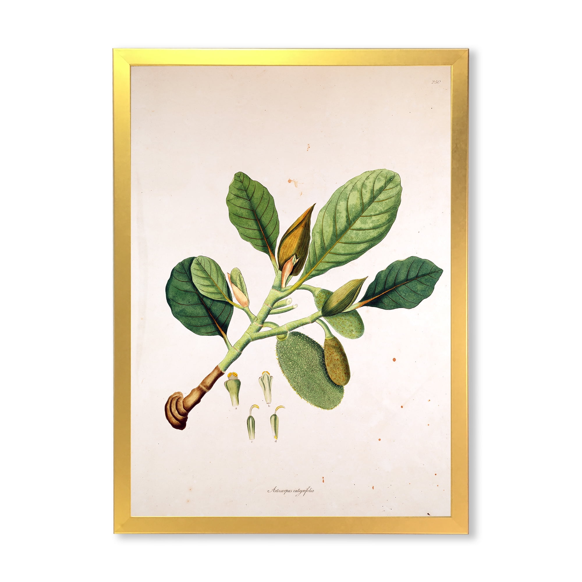 Designart 'Ancient London Plants I' Farmhouse Framed Art Print