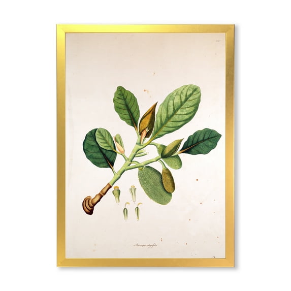 Designart 'Ancient London Plants I' Farmhouse Framed Art Print