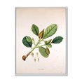 thumbnail image 1 of Designart 'Ancient London Plants I' Farmhouse Framed Canvas Wall Art Print, 1 of 5