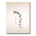 thumbnail image 1 of Designart ' Ancient London Plants II ' Farmhouse Canvas Wall Art Print, 1 of 4
