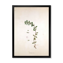 Designart 'Ancient London Plants II' Farmhouse Framed Art Print