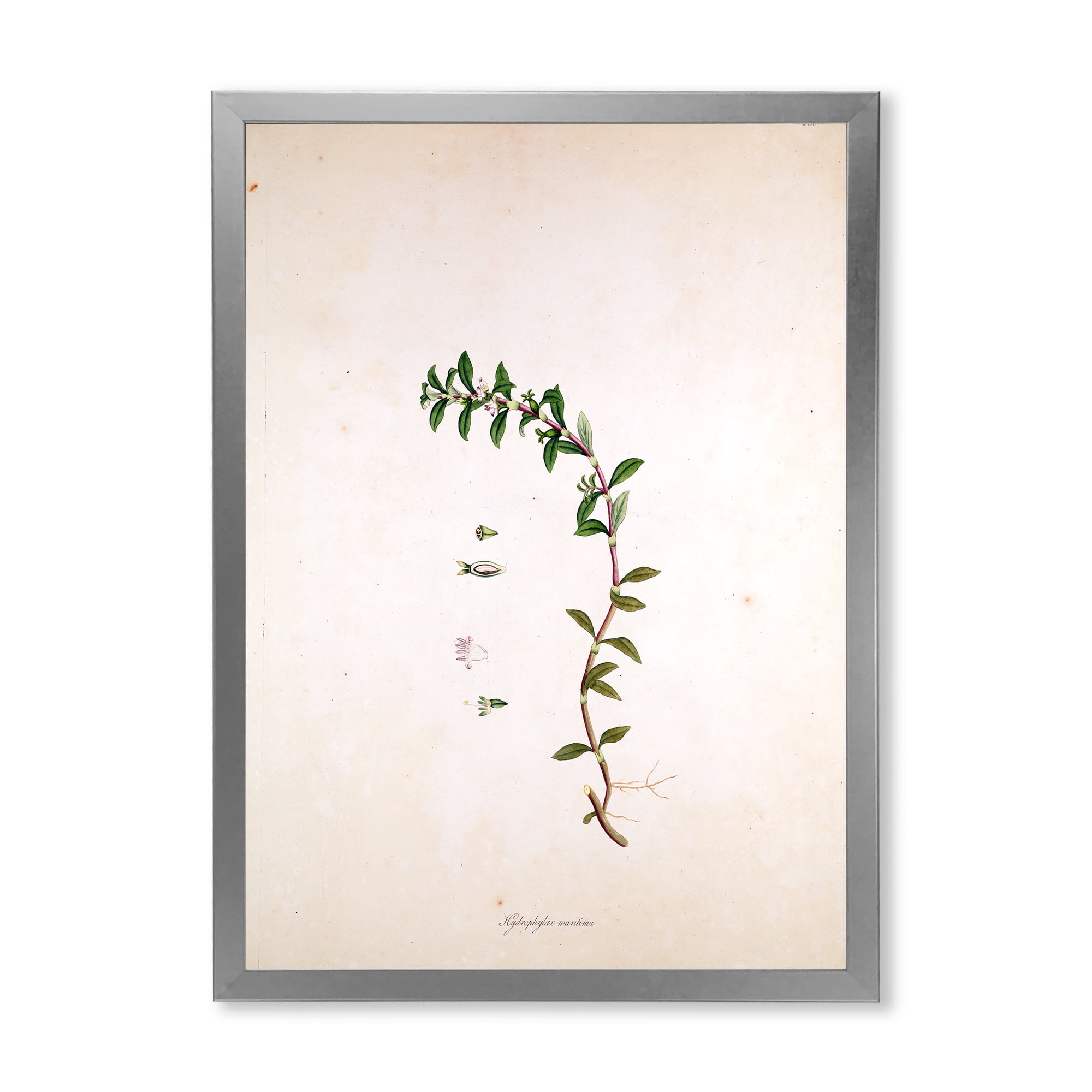 Designart 'Ancient London Plants II' Farmhouse Framed Art Print