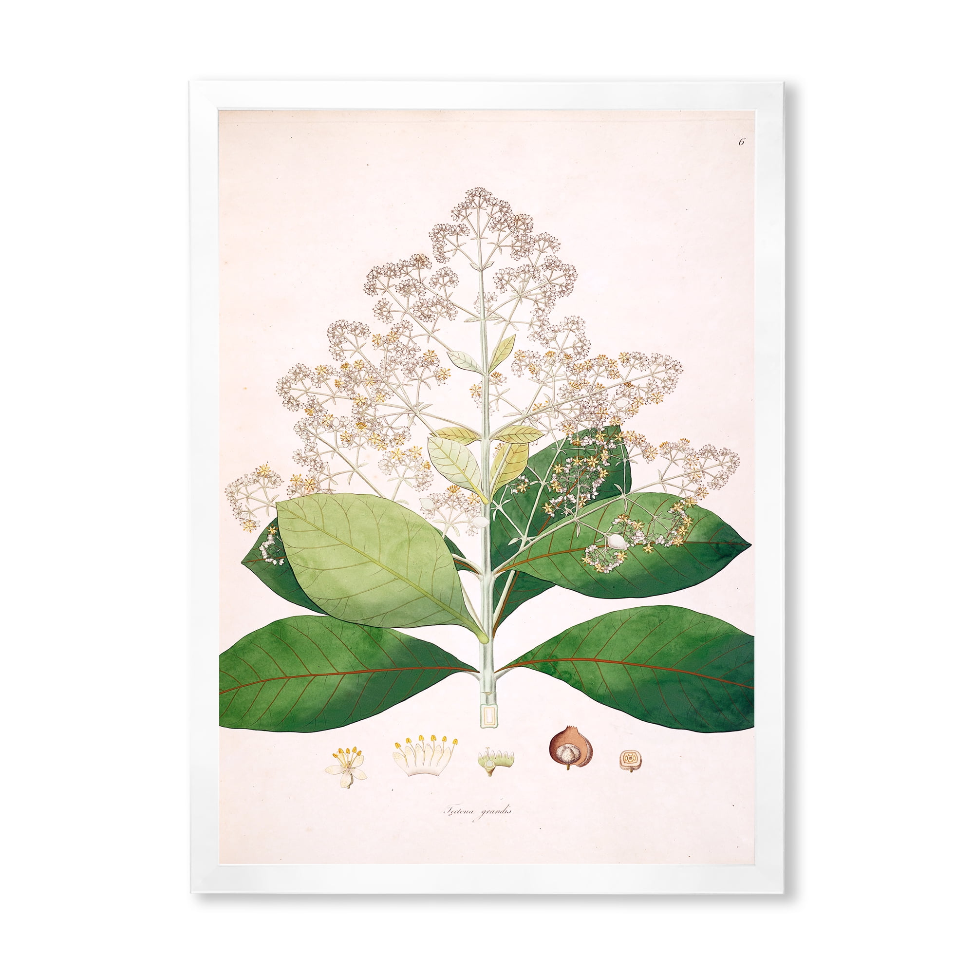 Designart 'Ancient London Plants III' Farmhouse Framed Art Print