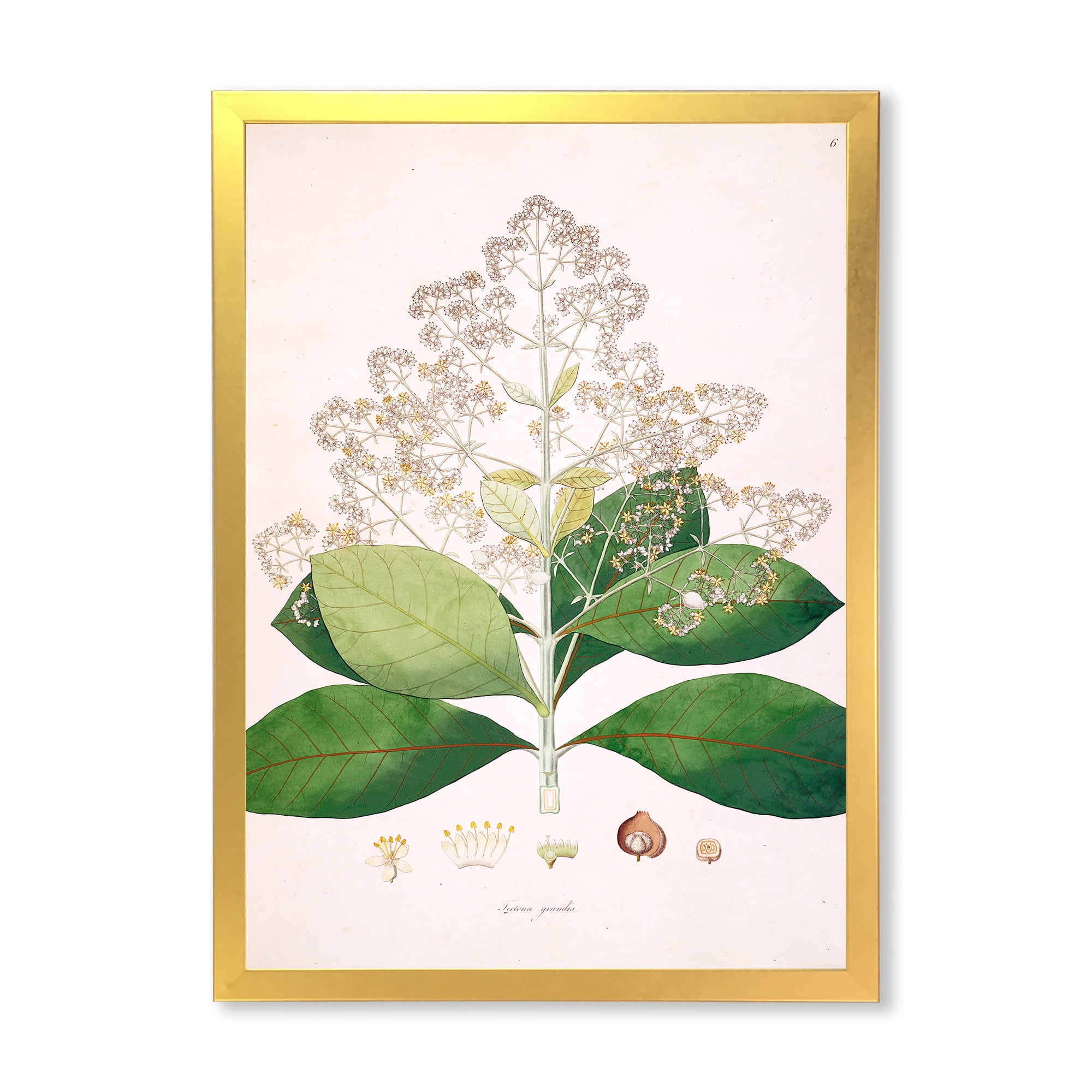 Designart 'Ancient London Plants III' Farmhouse Framed Art Print