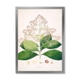 thumbnail image 1 of Designart 'Ancient London Plants III' Farmhouse Framed Art Print, 1 of 4