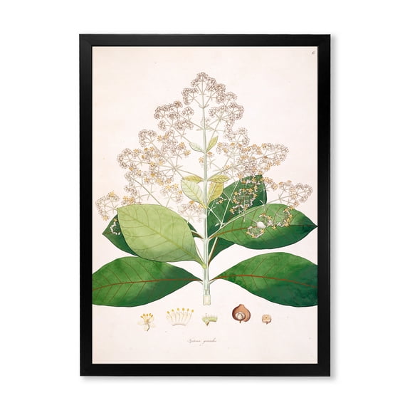 Designart 'Ancient London Plants III' Farmhouse Framed Art Print