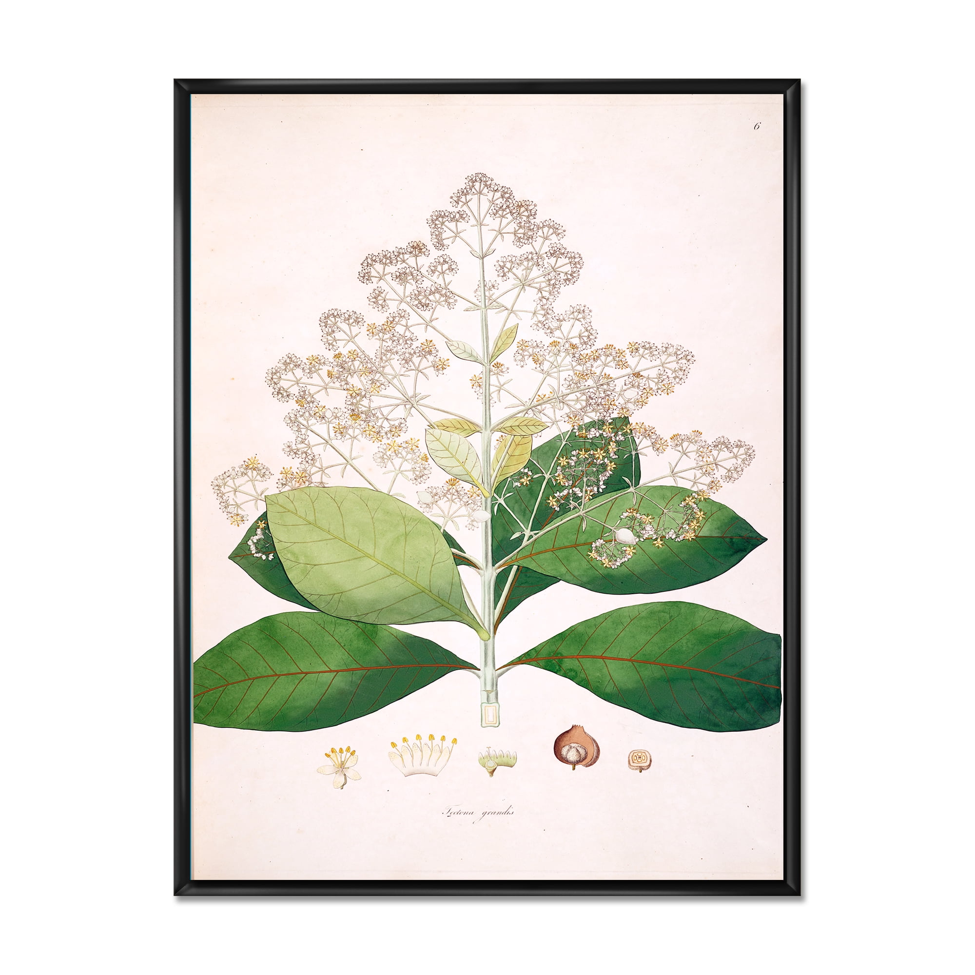 Designart 'Ancient London Plants III' Farmhouse Framed Canvas Wall Art Print