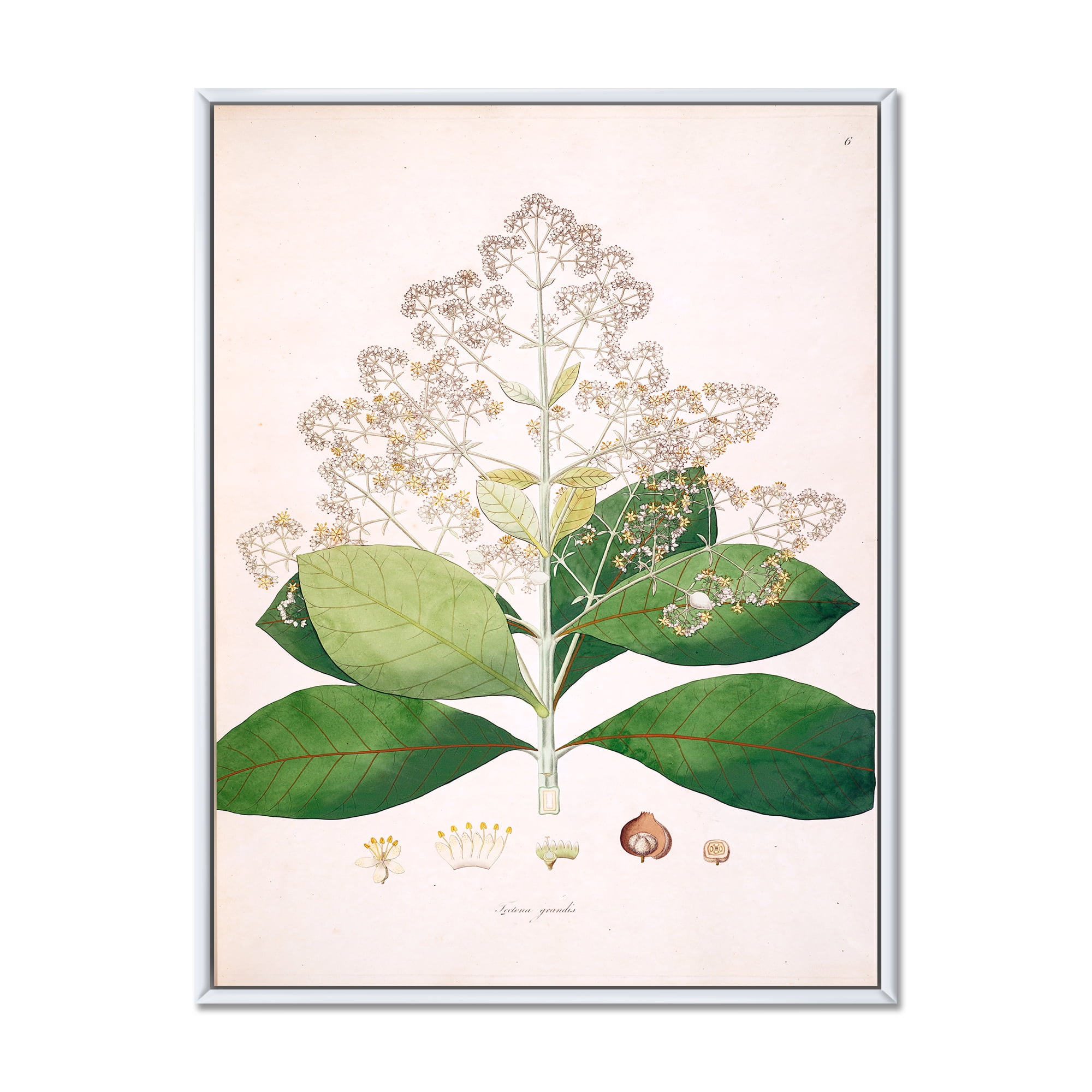 Designart 'Ancient London Plants III' Farmhouse Framed Canvas Wall Art Print