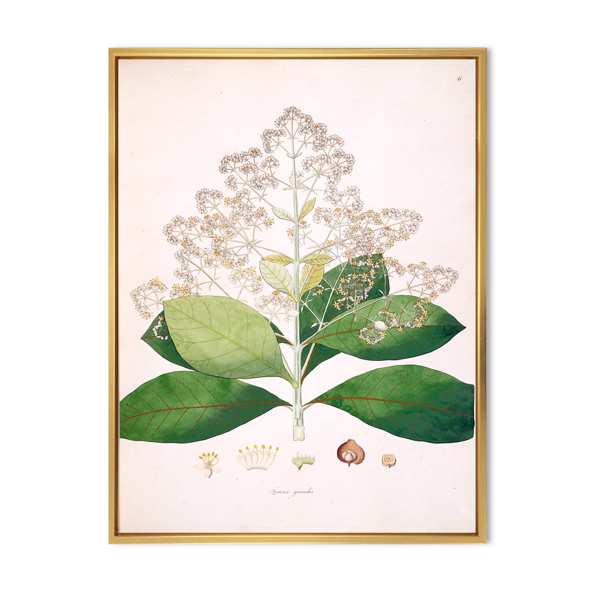 Designart 'Ancient London Plants III' Farmhouse Framed Canvas Wall Art Print