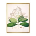 thumbnail image 1 of Designart 'Ancient London Plants III' Farmhouse Framed Canvas Wall Art Print, 1 of 5
