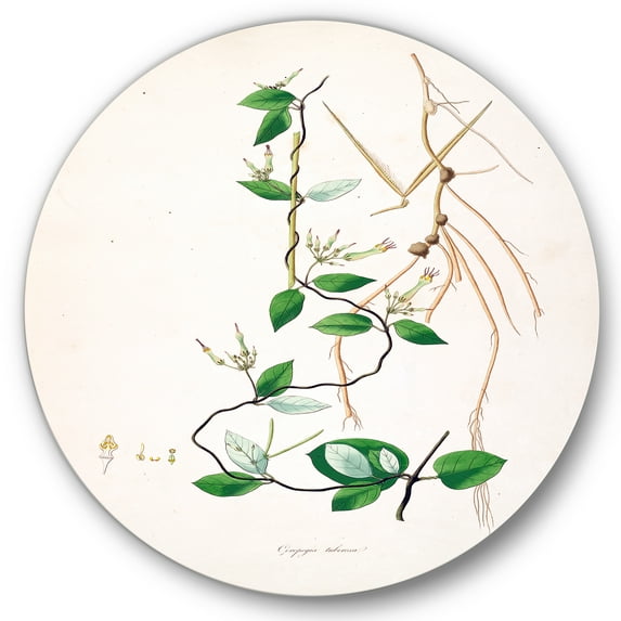 Designart 'Ancient London Plants IV' Farmhouse Circle Metal Wall Art 23x23 - Disc of 23