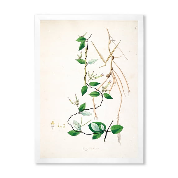 Designart 'Ancient London Plants IV' Farmhouse Framed Art Print