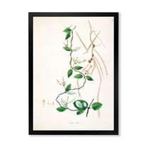 Designart 'Ancient London Plants IV' Farmhouse Framed Art Print
