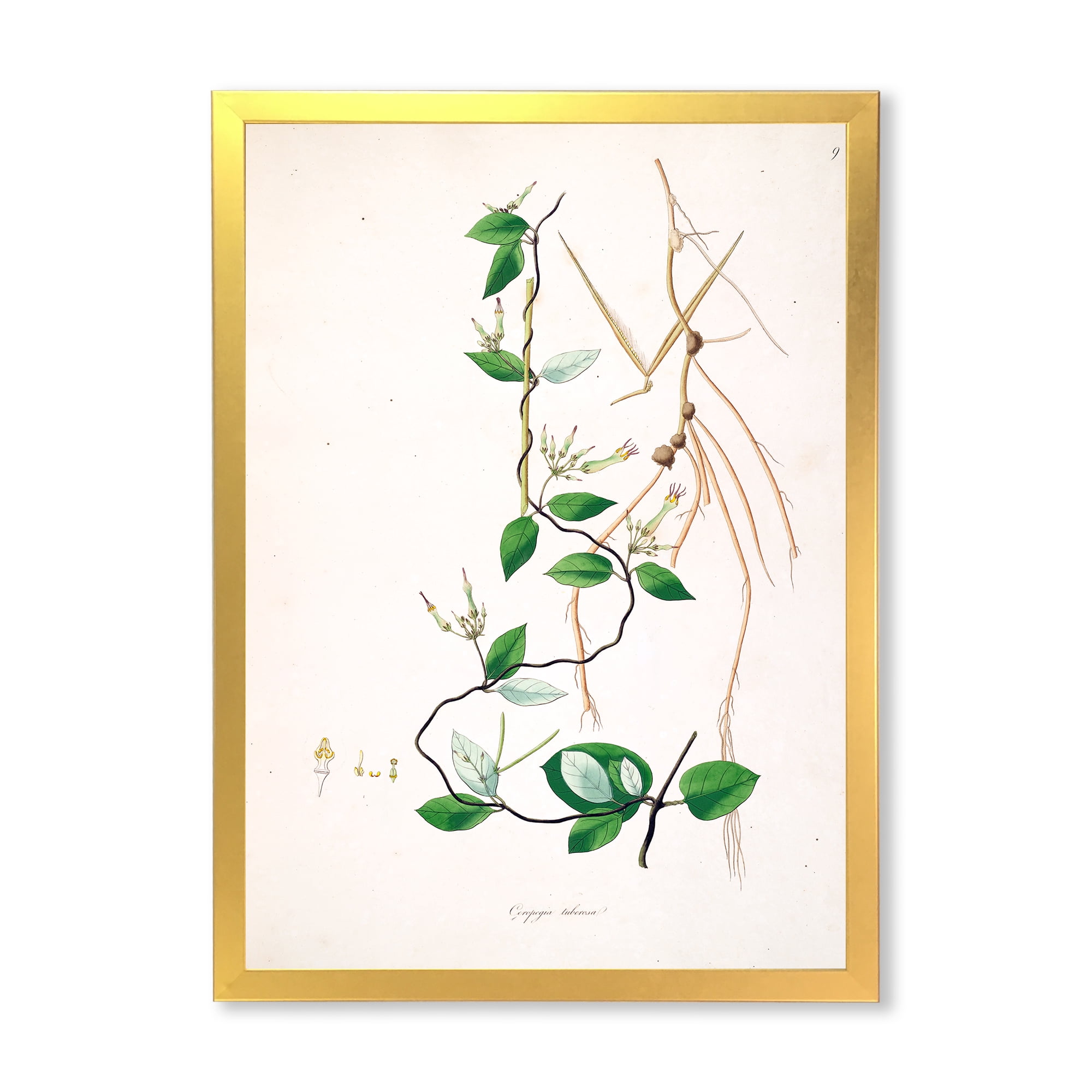 Designart 'Ancient London Plants IV' Farmhouse Framed Art Print