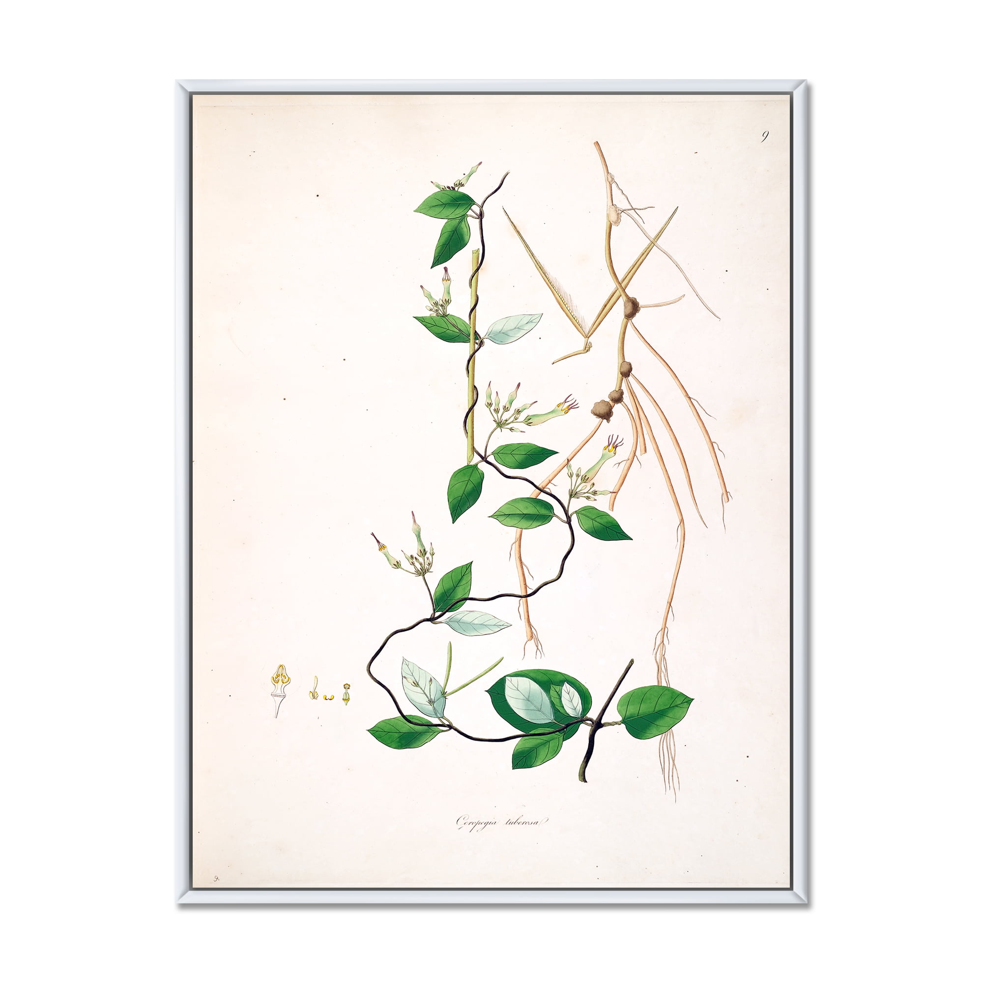 Designart 'Ancient London Plants IV' Farmhouse Framed Canvas Wall Art Print