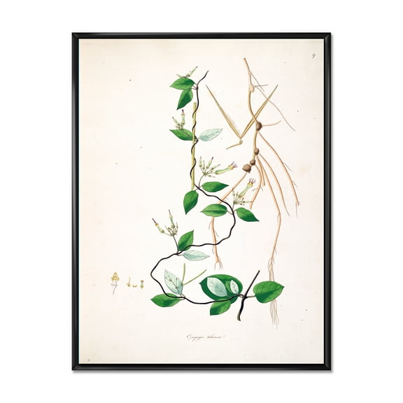 Designart 'Ancient London Plants IV' Farmhouse Framed Canvas Wall Art Print