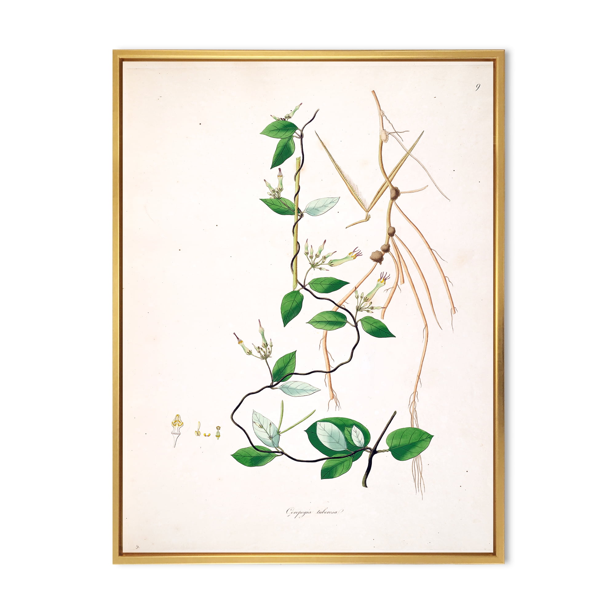 Designart 'Ancient London Plants IV' Farmhouse Framed Canvas Wall Art Print