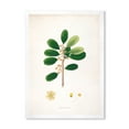 thumbnail image 1 of Designart 'Ancient London Plants IX' Farmhouse Framed Art Print, 1 of 4