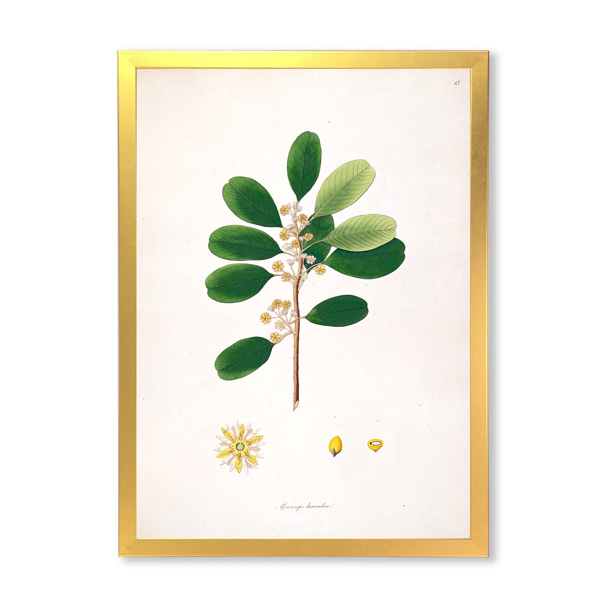 Designart 'Ancient London Plants IX' Farmhouse Framed Art Print