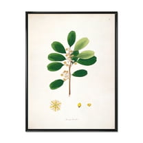 Designart 'Ancient London Plants IX' Farmhouse Framed Canvas Wall Art Print