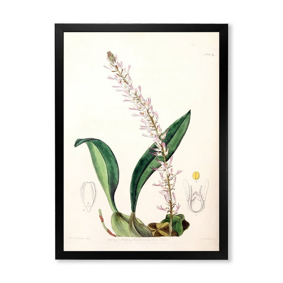 Designart 'Ancient London Plants V' Traditional Framed Art Print