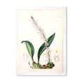 thumbnail image 1 of Designart 'Ancient London Plants V' Traditional Framed Art Print, 1 of 4