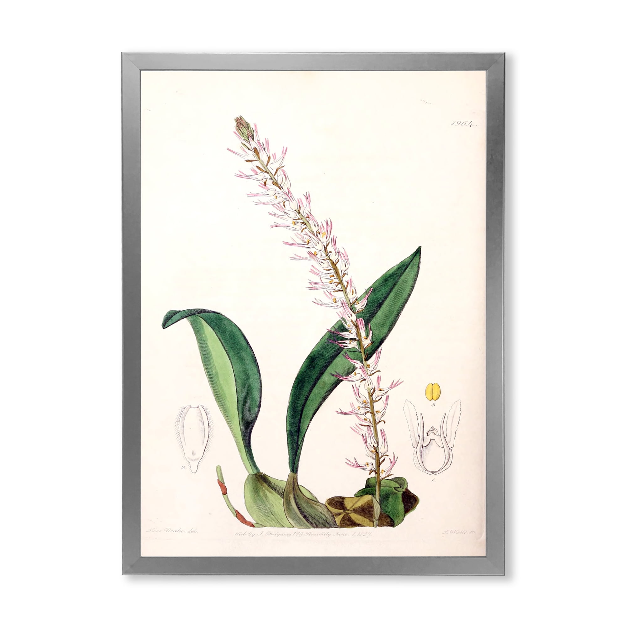 Designart 'Ancient London Plants V' Traditional Framed Art Print