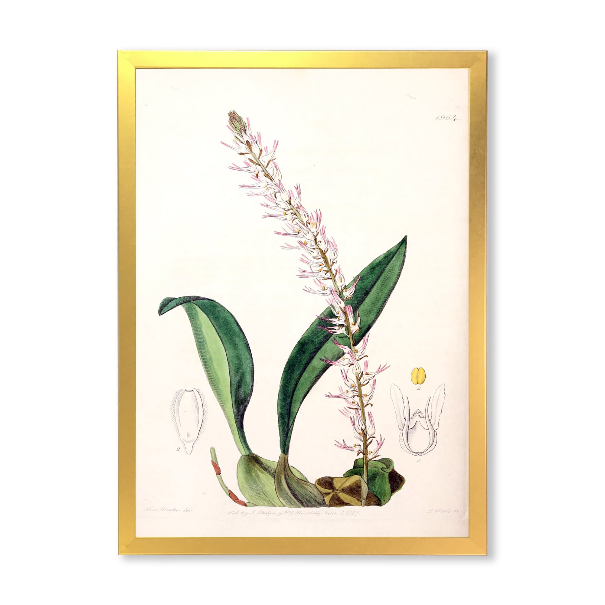 Designart 'Ancient London Plants V' Traditional Framed Art Print