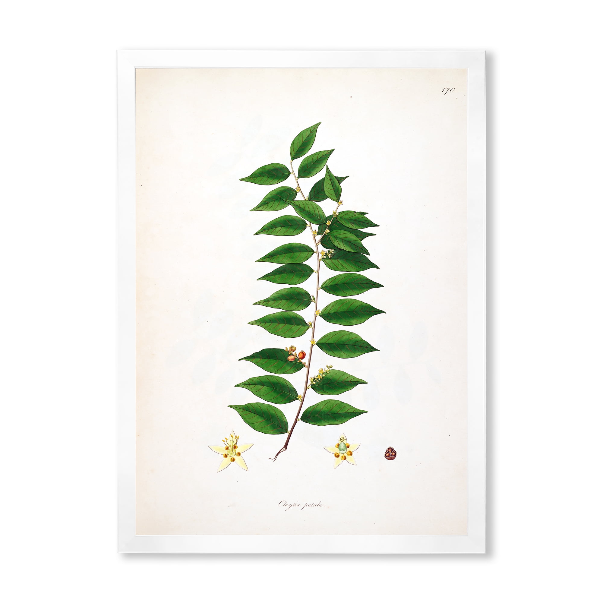 Designart 'Ancient London Plants VI' Farmhouse Framed Art Print