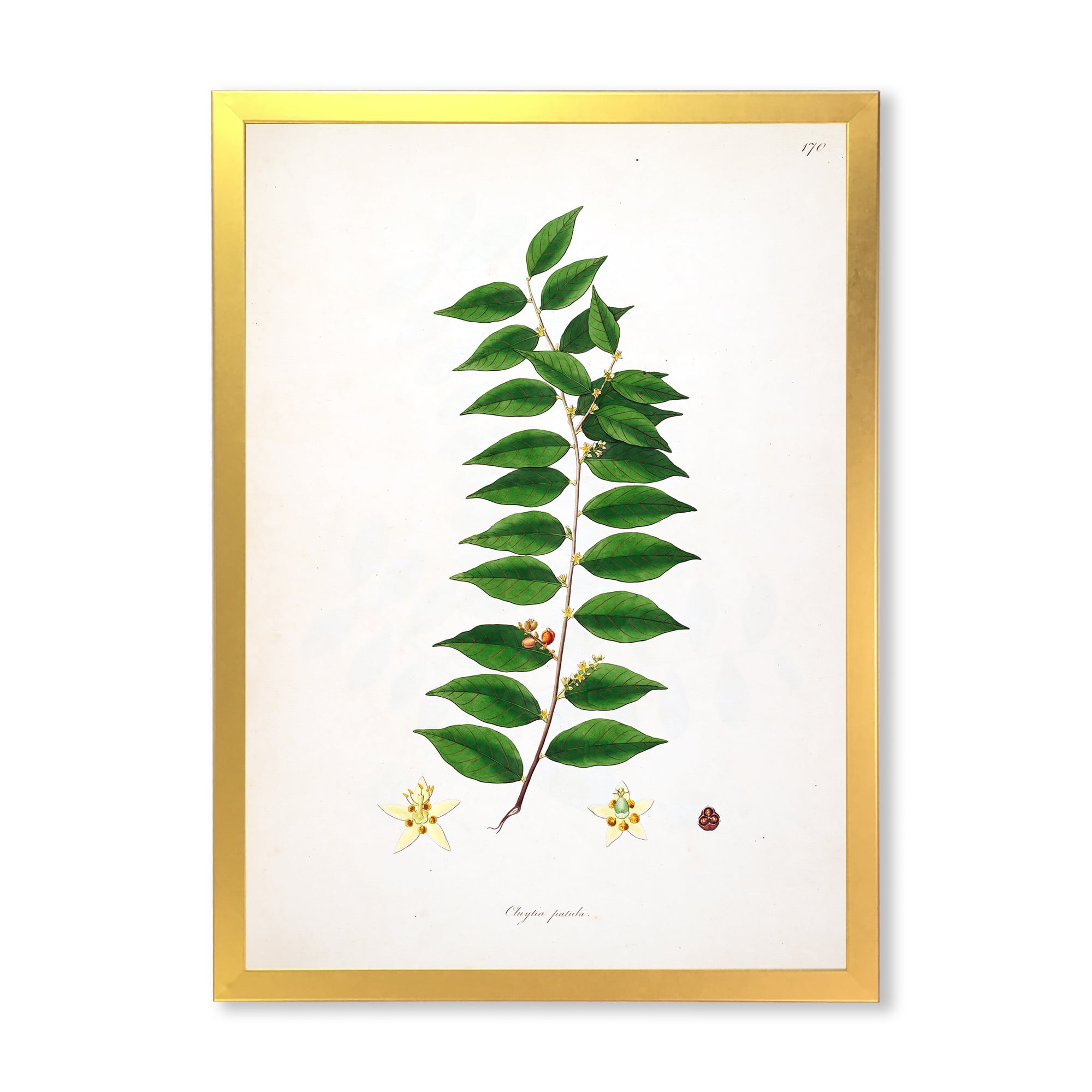 Designart 'Ancient London Plants VI' Farmhouse Framed Art Print