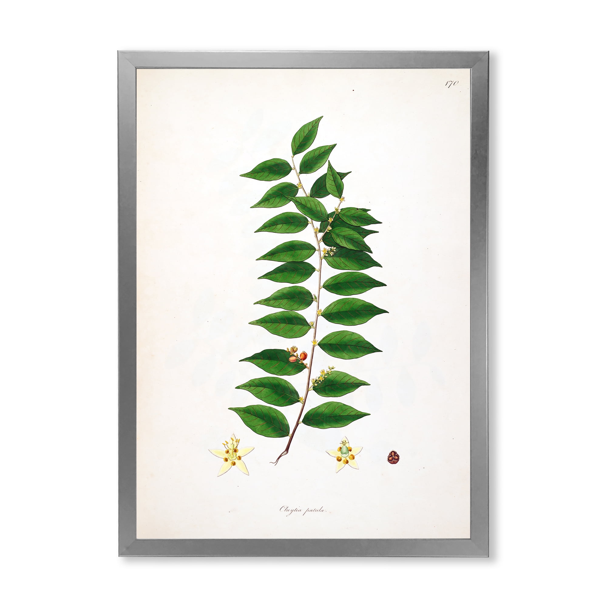 Designart 'Ancient London Plants VI' Farmhouse Framed Art Print