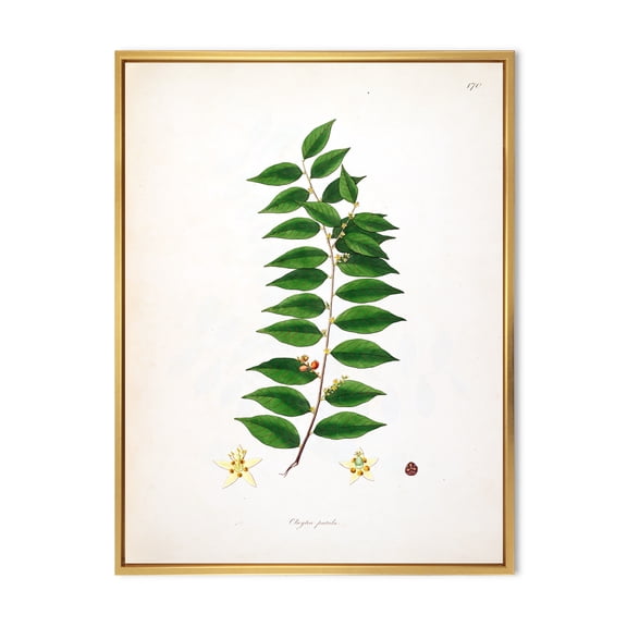 Designart 'Ancient London Plants VI' Farmhouse Framed Canvas Wall Art Print