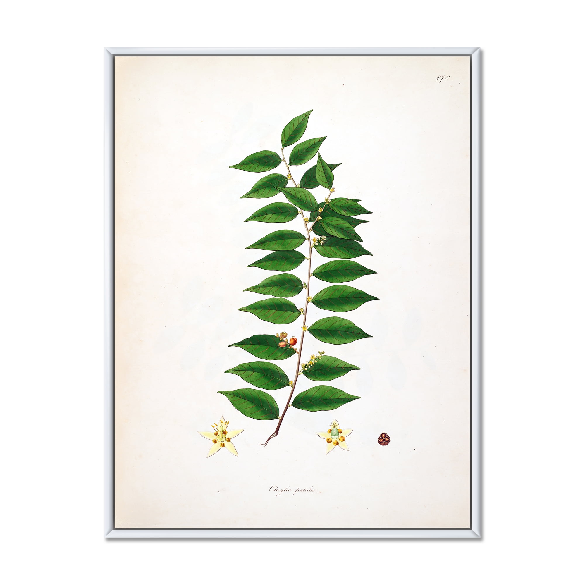 Designart 'Ancient London Plants VI' Farmhouse Framed Canvas Wall Art Print