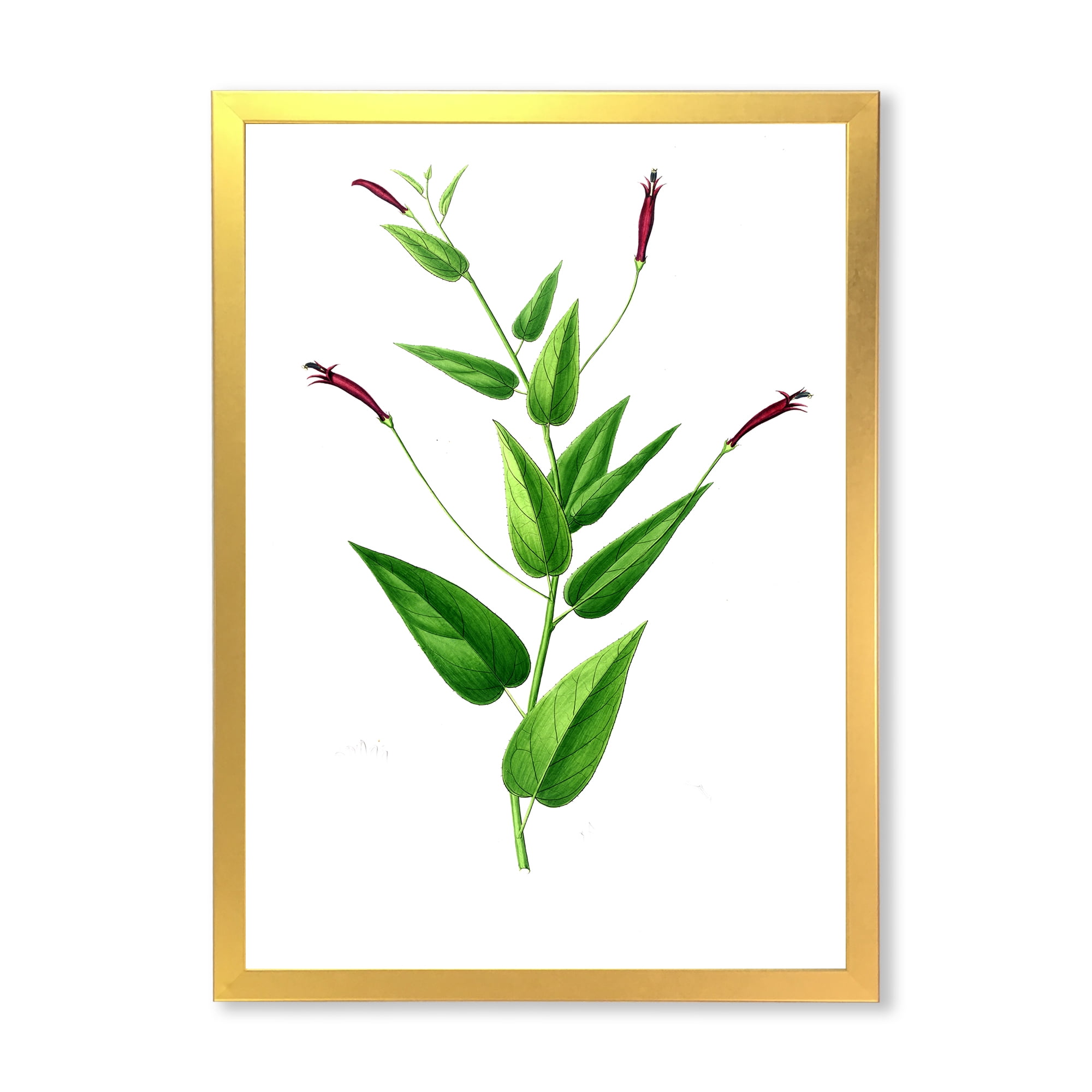 Designart 'Ancient London Plants VII' Traditional Framed Art Print