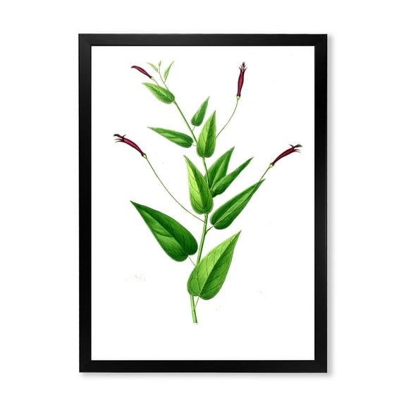 Designart 'Ancient London Plants VII' Traditional Framed Art Print