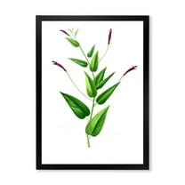 Designart 'Ancient London Plants VII' Traditional Framed Art Print