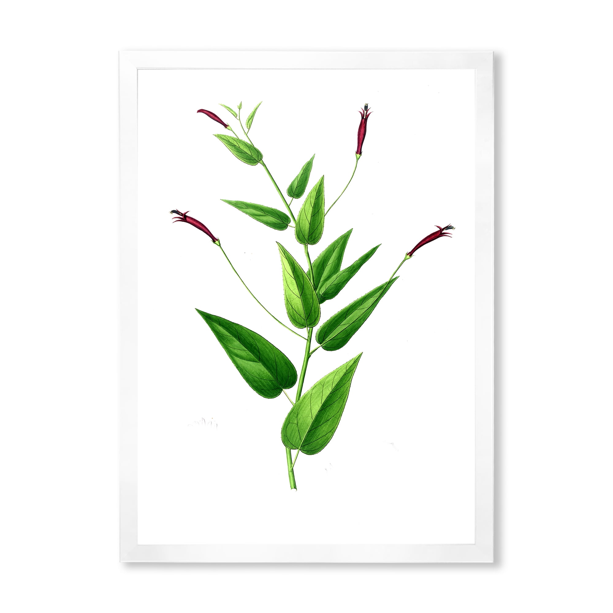 Designart 'Ancient London Plants VII' Traditional Framed Art Print
