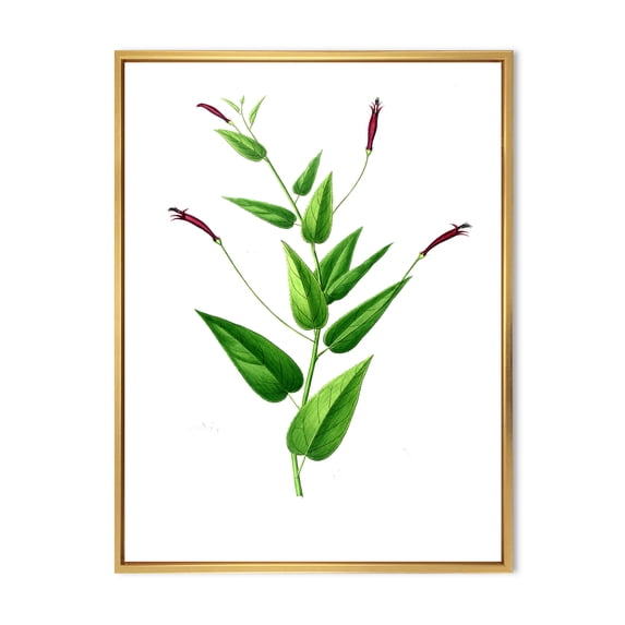 Designart 'Ancient London Plants VII' Traditional Framed Canvas Wall Art Print