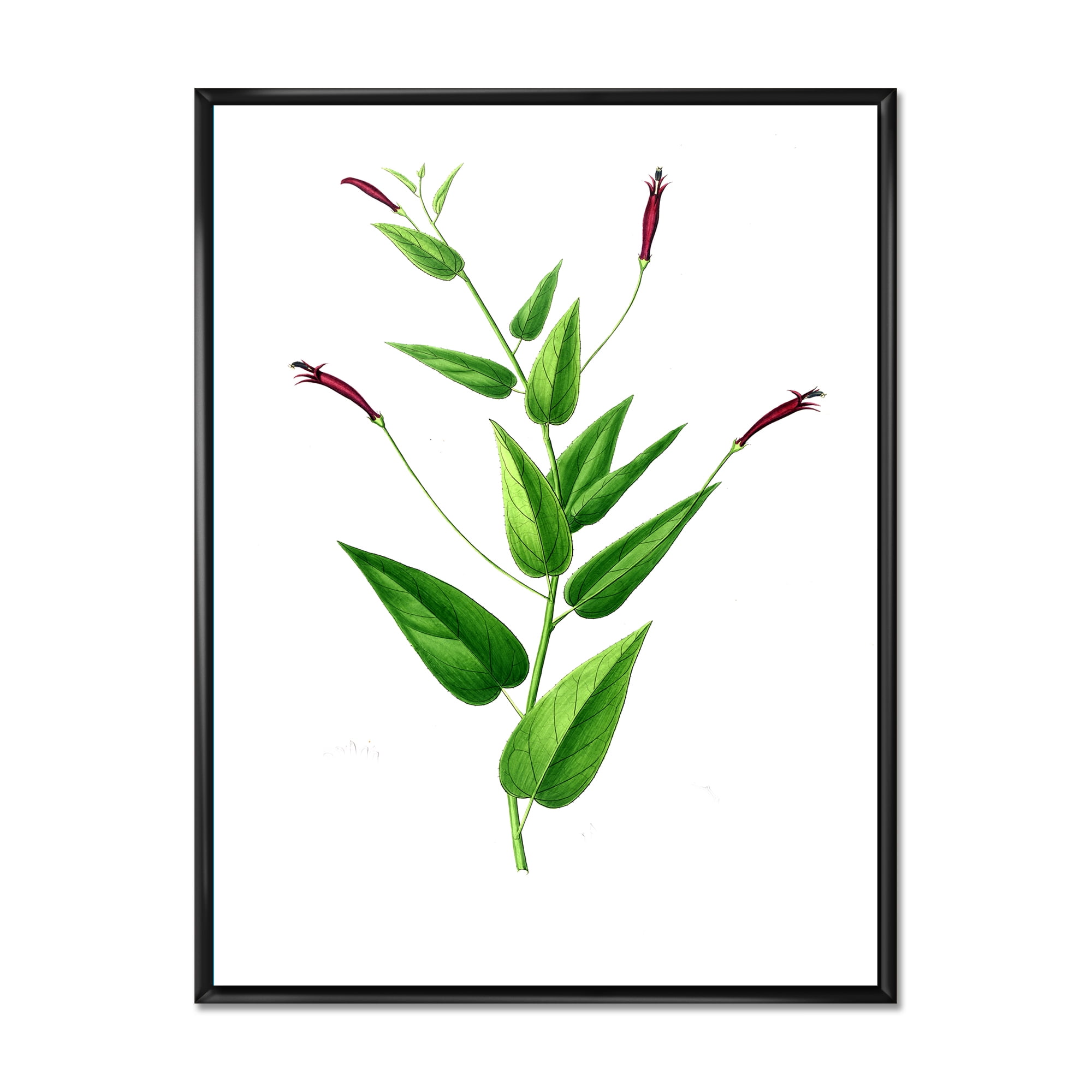 Designart 'Ancient London Plants VII' Traditional Framed Canvas Wall Art Print